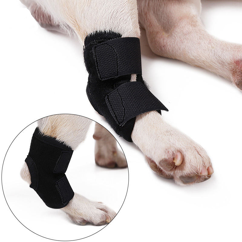 Dog Leg Wrap Pet Leg Hock Dog Ankle Brace