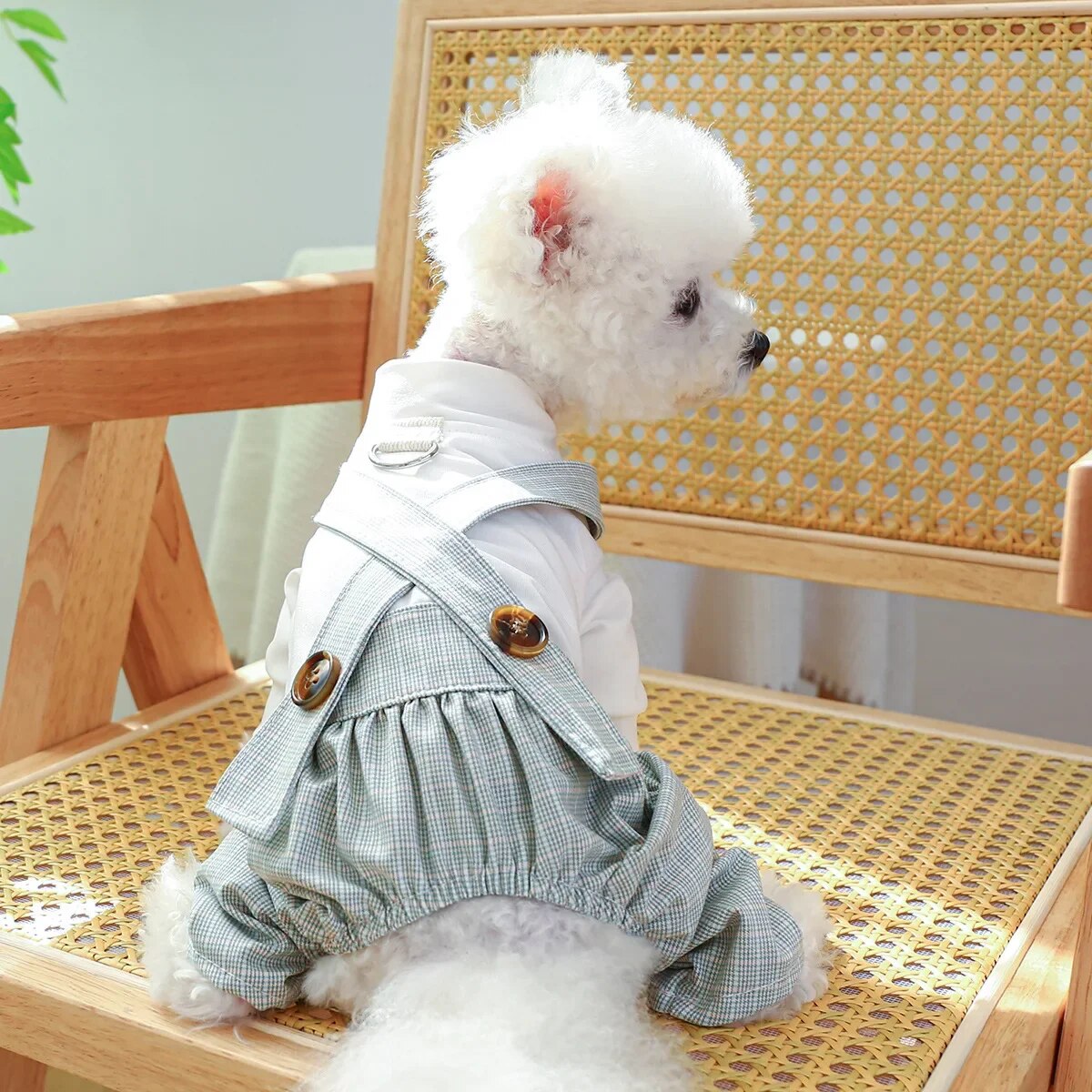 Dog Clothes Pet Clothing Autumn and Winter Casual Carrier Pants