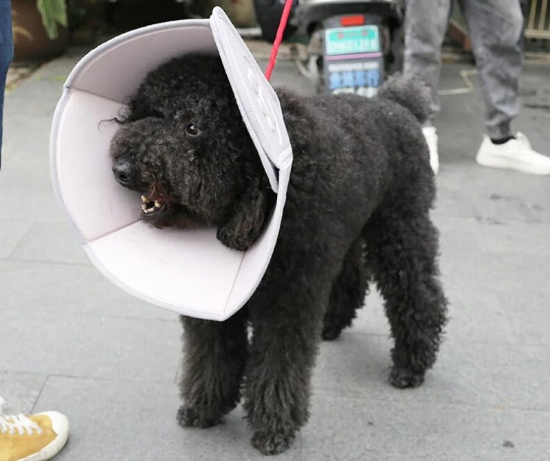 Dog Collars Cat Elizabethan Collar Pet Dog Neck Cone Recovery Anti-bite Collar