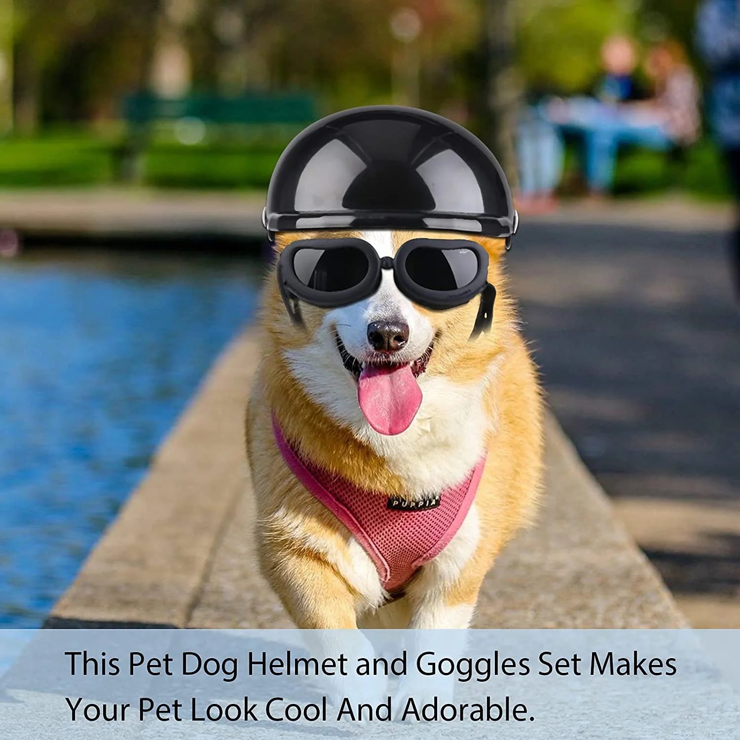 Dog Helmet Pet Motorcycle Helmet Hat with Ear Holes