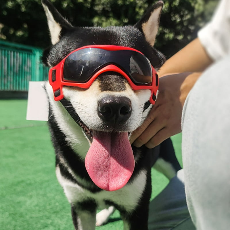 Dog Goggles Adjustable Windproof Anti-fog Dog Sunglasses Eyewear Decor UV Protection