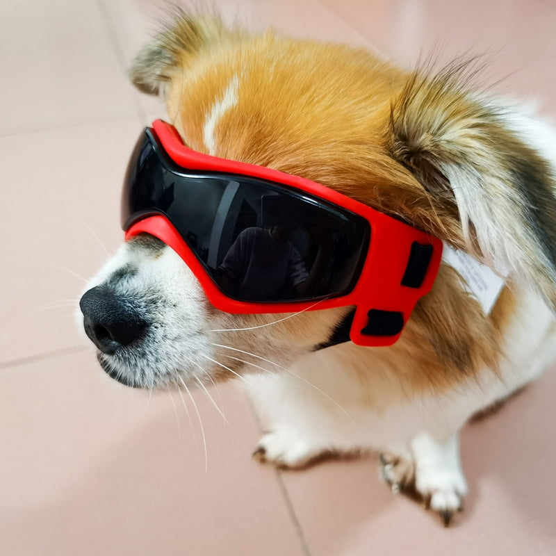 Dog Goggles Adjustable Windproof Anti-fog Dog Sunglasses Eyewear Decor UV Protection