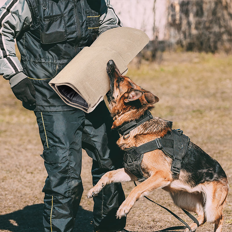 Heavy Duty Nylon Durable Dog Trainer Bite Sleeve Dog Trainer Bite Sleeve