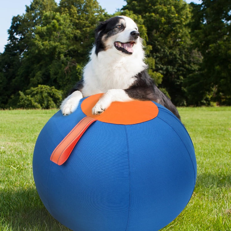 Herding Ball with Hand Pump For Dogs Interactive Dog Toys
