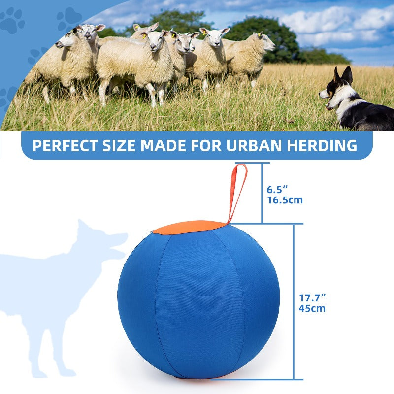 Herding Ball with Hand Pump For Dogs Interactive Dog Toys