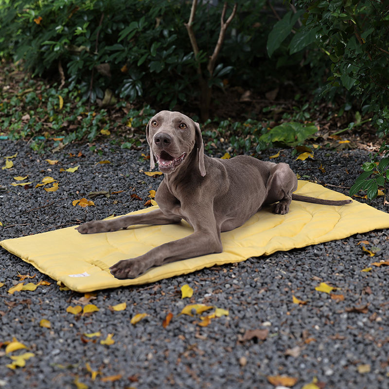 Outdoor Dog Bed Blanket Water Resistant Camping Travel Pet Mat