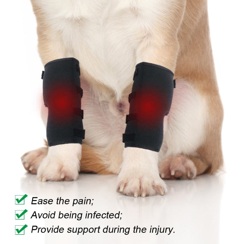 Leg Knee Pads For Dogs Recovery Bandage