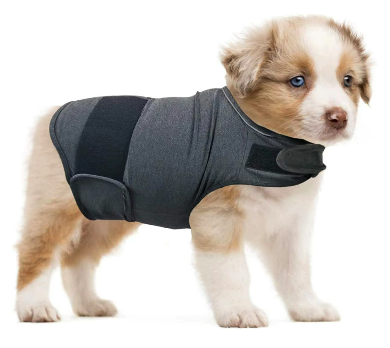 Pet Cmfort Vest Dog Anxiety Relief Clothing Puppy Clothing