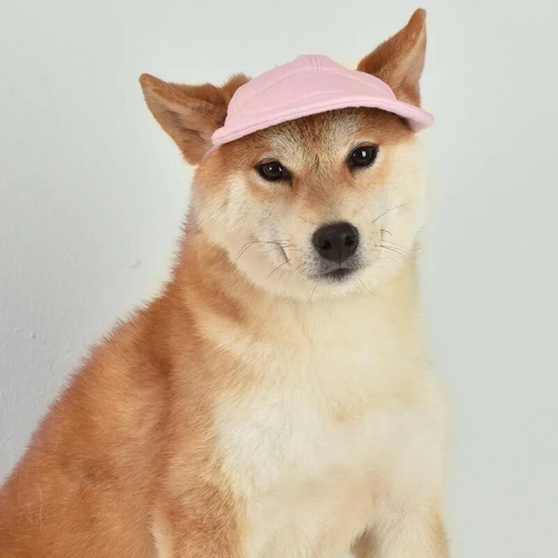 Pet Dog Sunshade Cap Dog Hat Outdoor Baseball Cap Canvas Small Dog Sunscreen