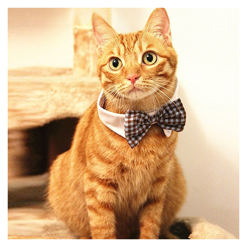 Pet Cat And Dog Bow Tie Universal Bow Tie