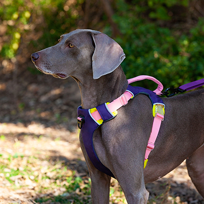 Portable Pet Vest Harness  For Medium Dogs