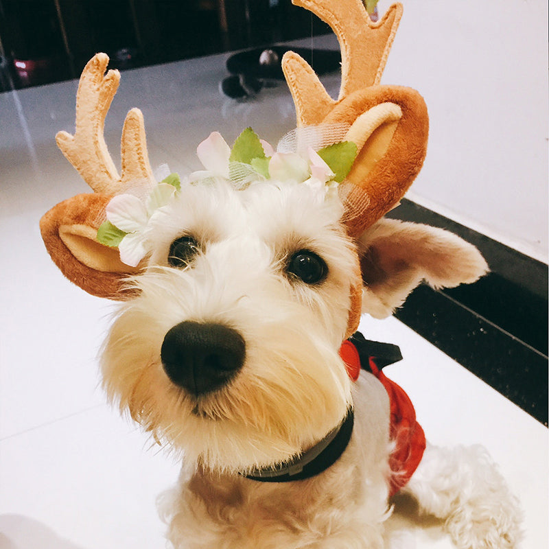 Pet Christmas Cute Elk Headband Christmas Pet Accessories Dog Hairpin Cat Accessories