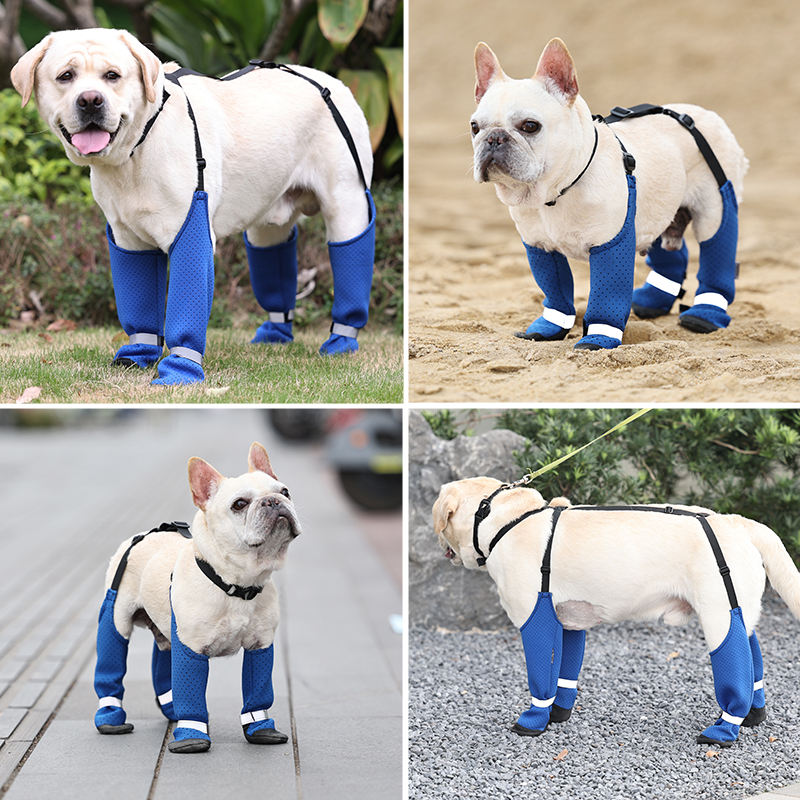 Summer Dog Shoes Legging for Large Small Medium Dogs Rain Boots Pet Shoes