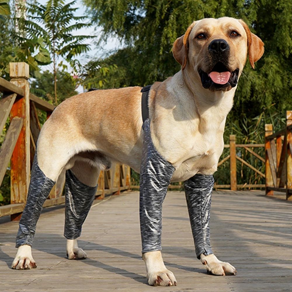 Waterproof Dog Recovery Sleeves for Front and Back Legs