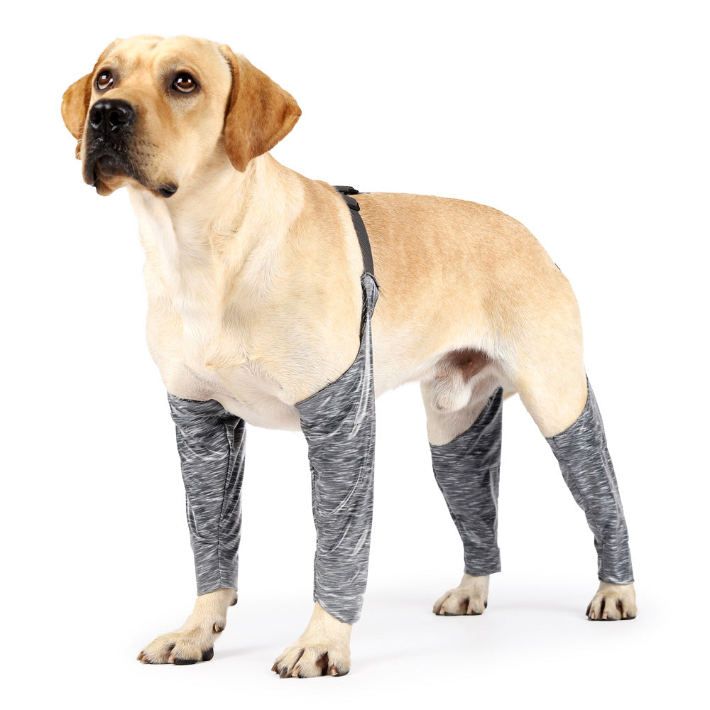 Waterproof Dog Recovery Sleeves for Front and Back Legs