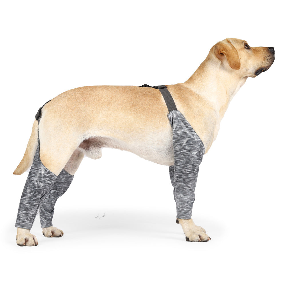 Waterproof Dog Recovery Sleeves for Front and Back Legs