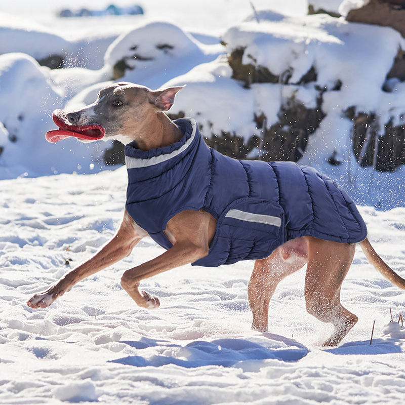 Winter Dog Jacket With Fleece Water-resistant Dog Coat